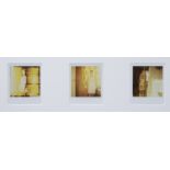 Hellen VAN MEENE (1972), inkjet photo triptych 'Yellow', numbered 25/25 and signed