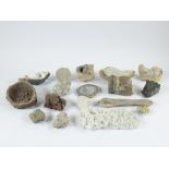 Collection of rocks and fossils