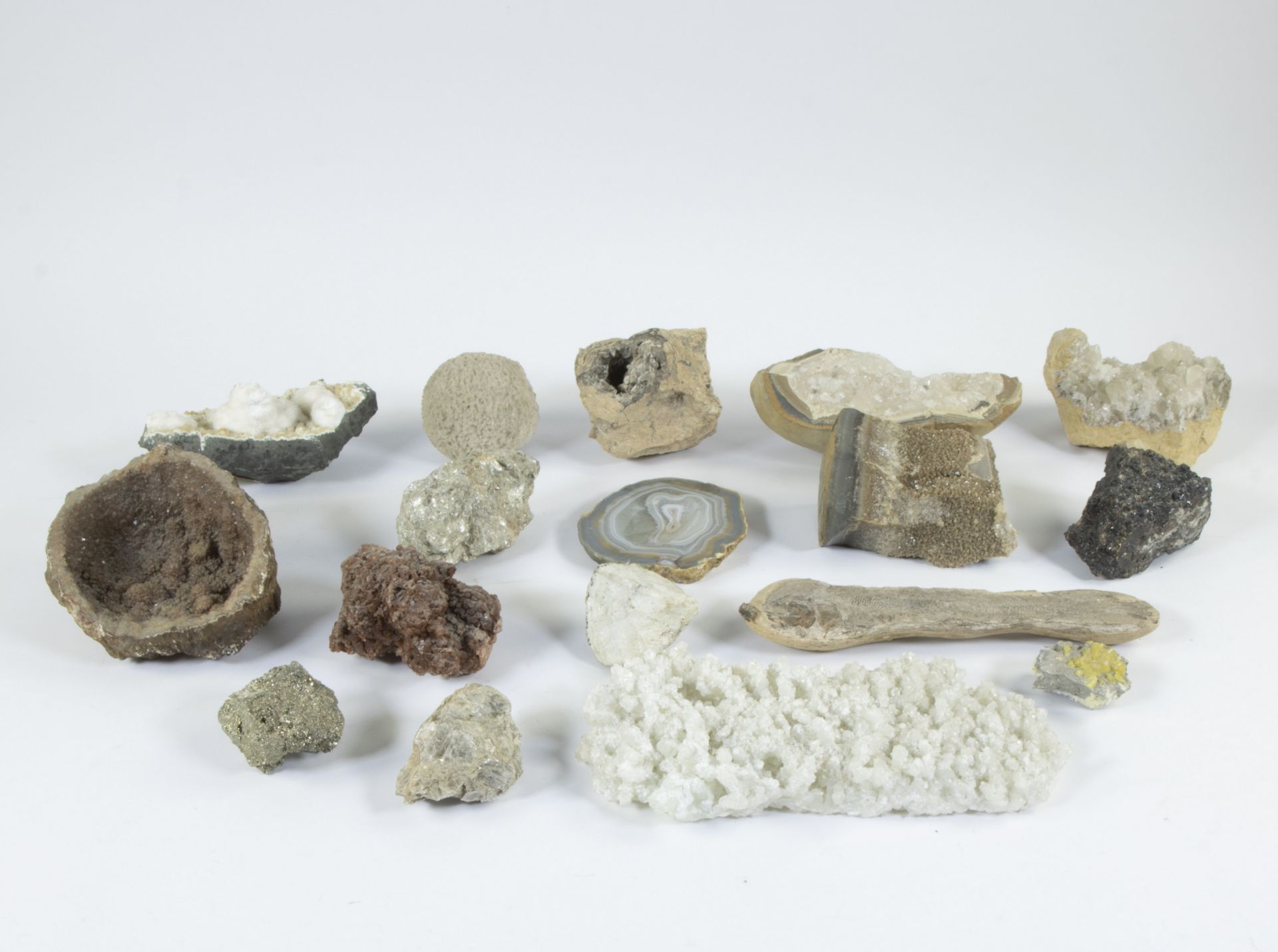 Collection of rocks and fossils