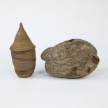 Clapper or coconut fruit from school collection colonial institute and rare Tutsi basket