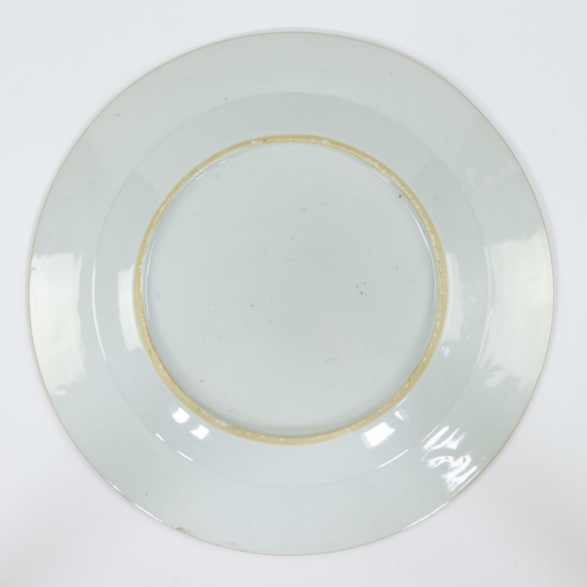 Chinese famille rose dinner plate and a smaller dish, the plate decorated with garden decor, an exot - Image 3 of 5