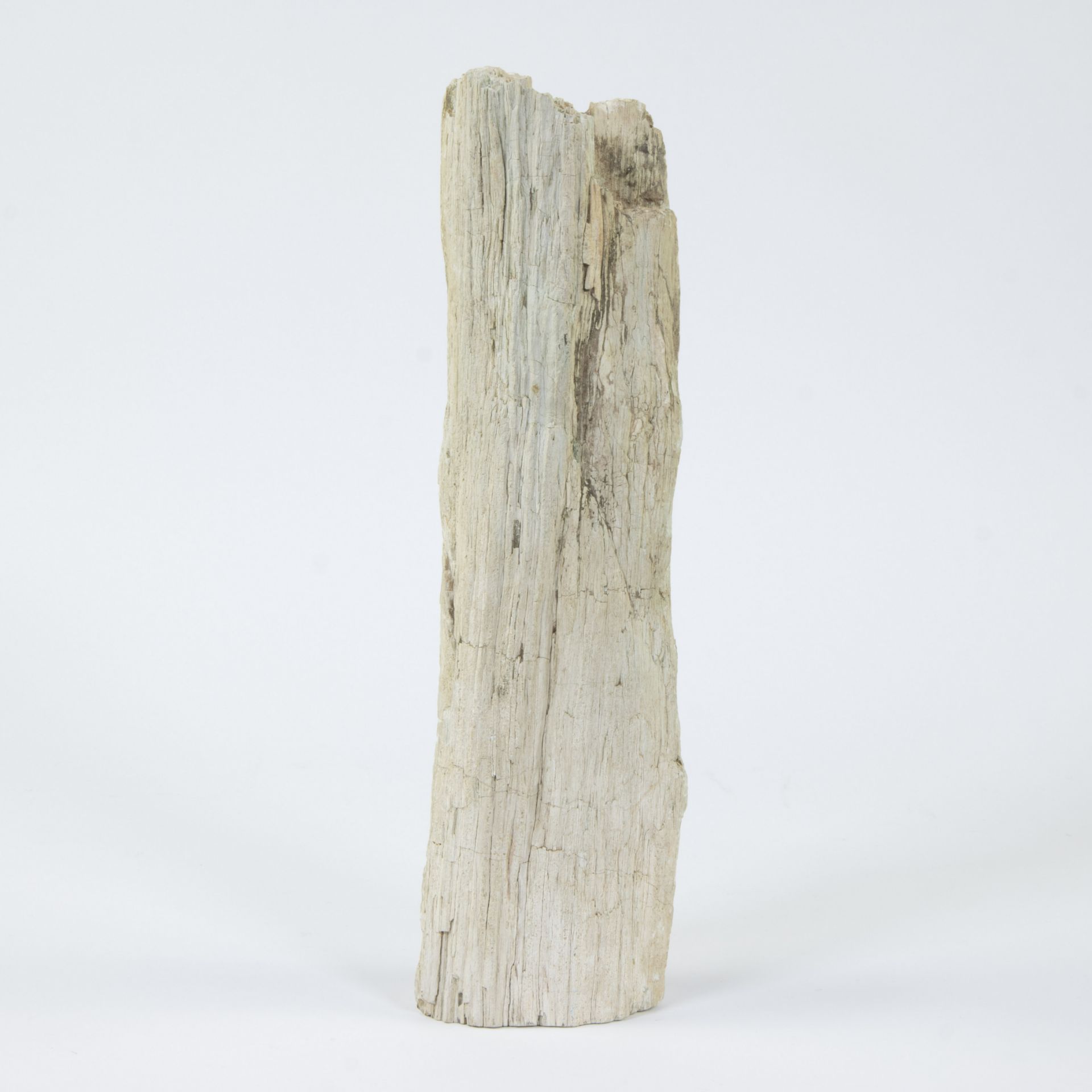 Piece of petrified wood - Image 4 of 5