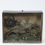 Victorian bird box, late 19th century
