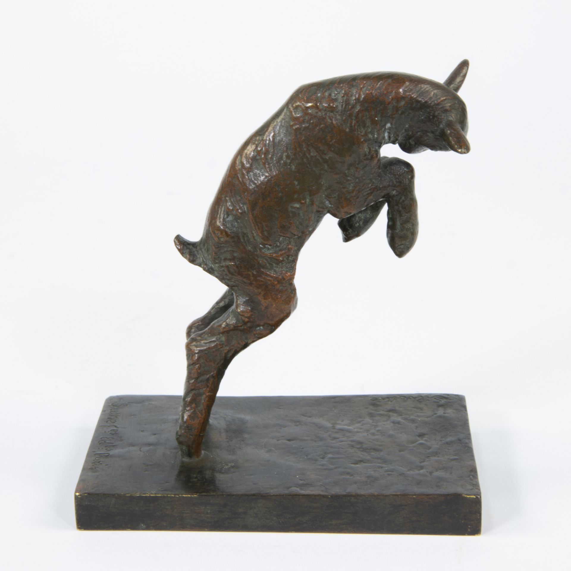 Paul SILVESTRE (1884-1976), bronze goat, signed Sylvestre, Sus Frères Edition Paris and foundry init - Bild 4 aus 7