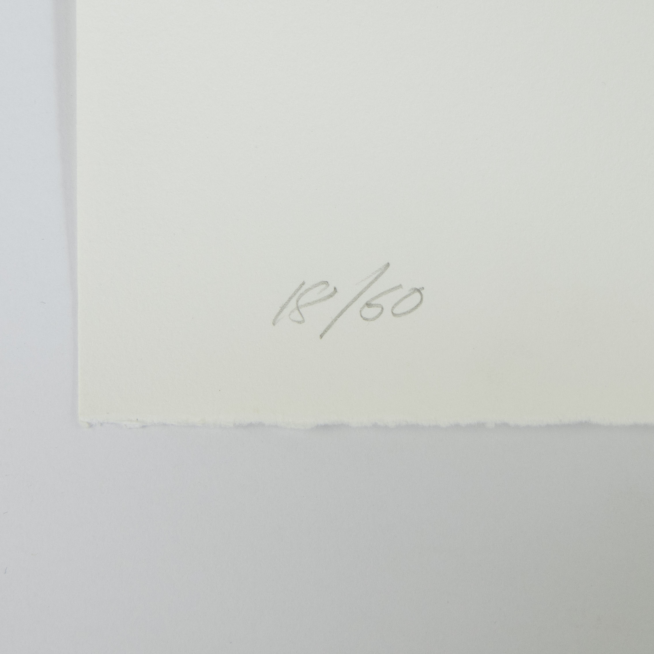 Lawrence CARROLL (1954-2019), photolithography Untitled, numbered 18/60 and signed - Image 4 of 4