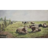 August AUDENAERT (1842-1953), oil on canvas Cows in the meadow, signed