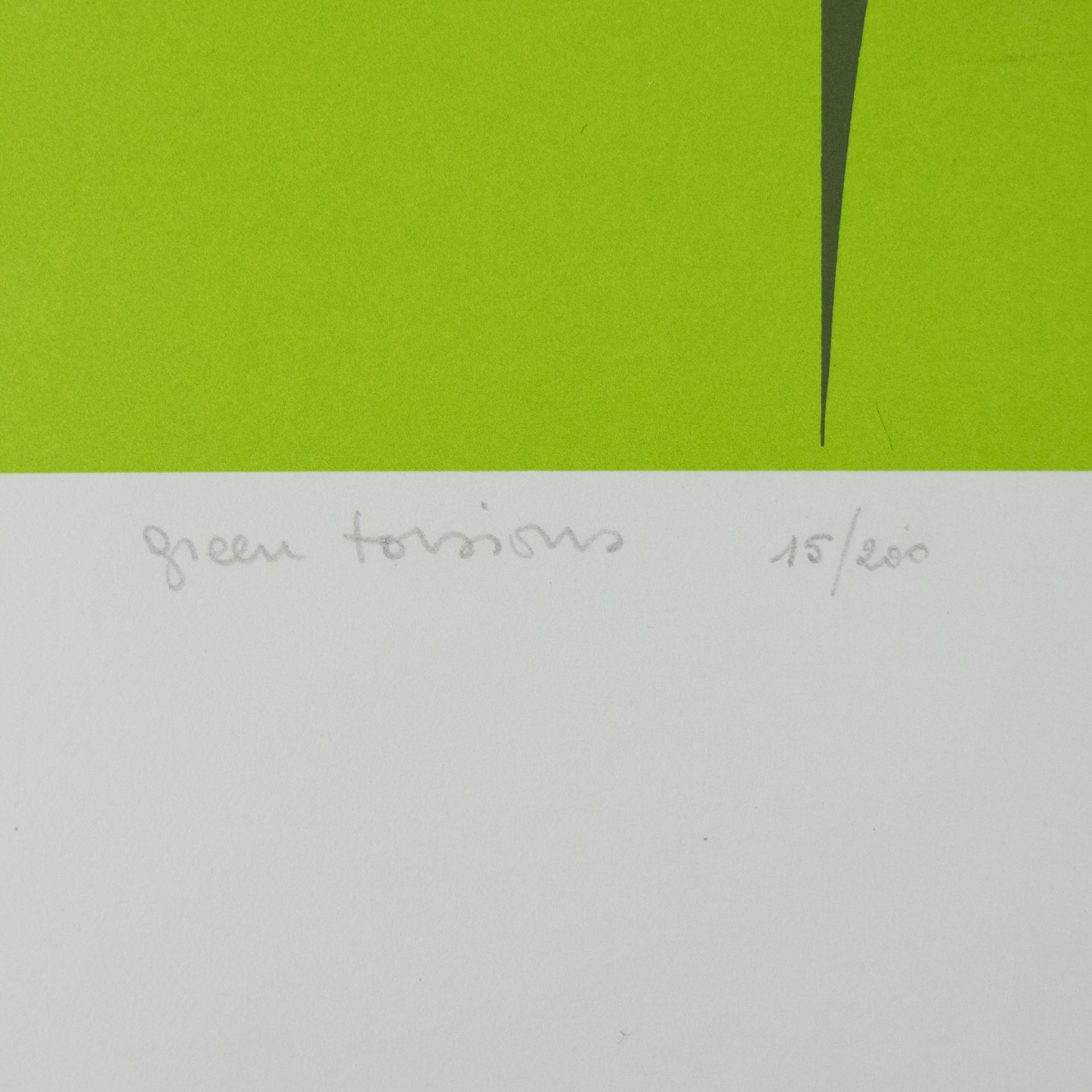 Walter LEBLANC (1932-1986), silkscreen in colors Green torsions, numbered 15/200 and signed - Image 4 of 4