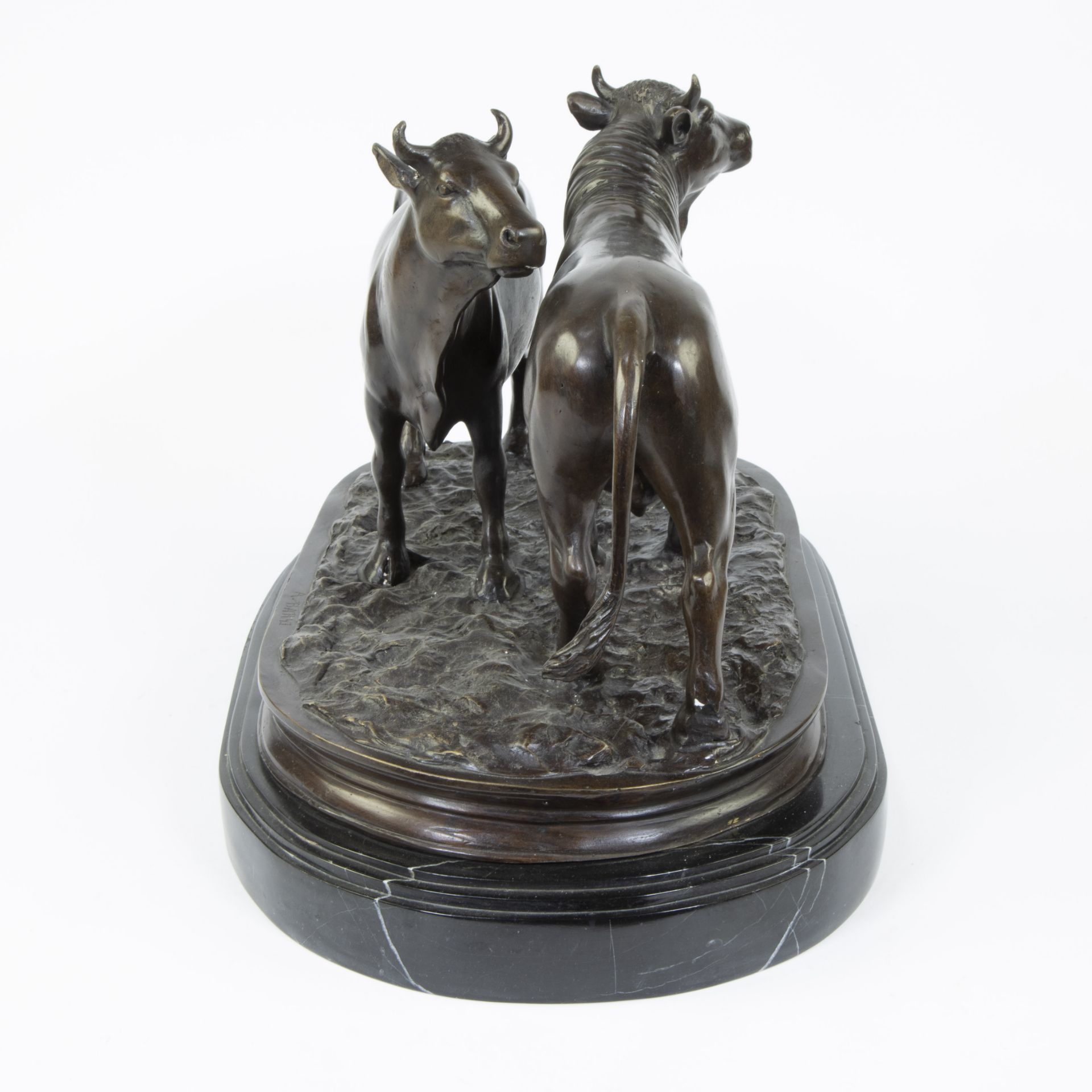 Antoine Louis BARYE (1796-1875), bronze group of a bull with a cow, signed - Bild 5 aus 5