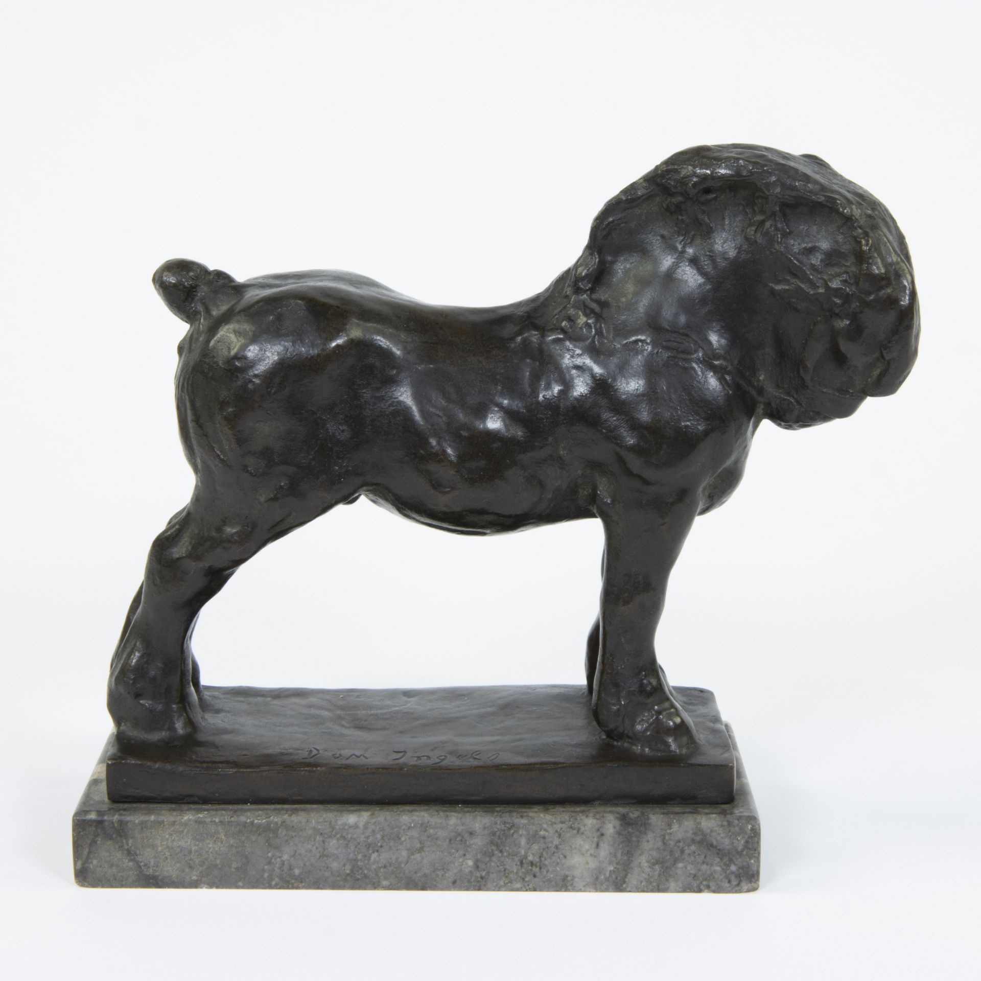 Domien INGELS (1881-1946), bronze horse, signed - Image 2 of 6
