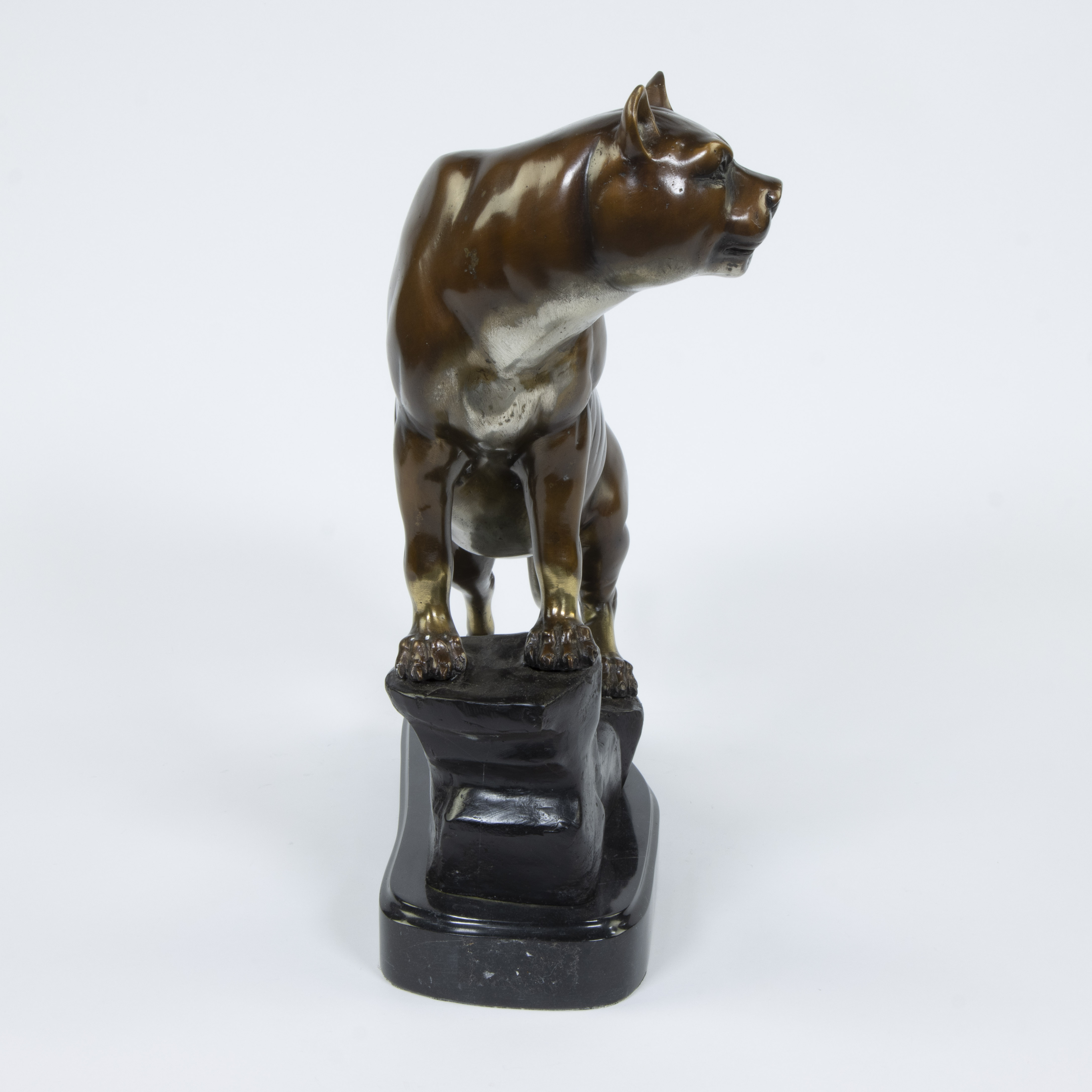 Panther in patinated spelter, signed Marino, numbered 14/500 and dated 2007 - Image 2 of 5