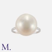 A Pearl Ring in platinum, set with a large untested pearl of approximately 15mm X 12mm. Unmarked but