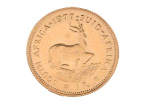 GOLD 1 RAND COIN,