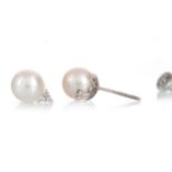 PAIR OF PEARL AND DIAMOND EARRINGS,