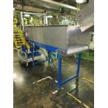 Motorized Belt Conveyor