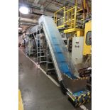 20"x14' Adjustable Height Motorized Incline Belt Conveyor with Part Sorting Bin