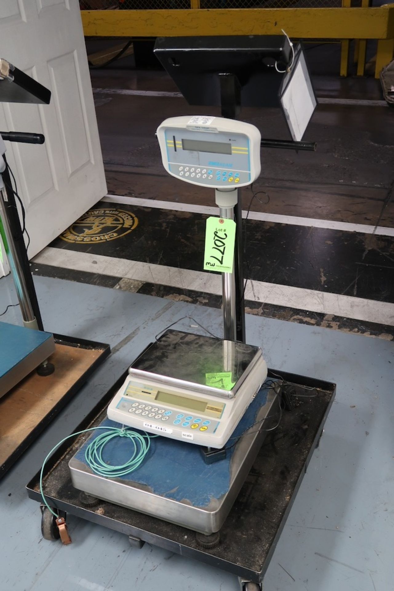 AE Adam 330-Lb. Digital Platform Scale