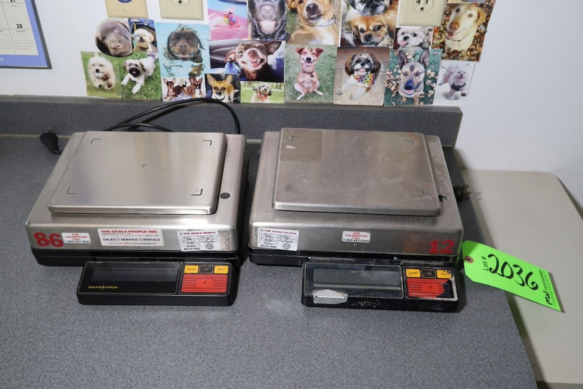 (2) Sartorius Digital Scales