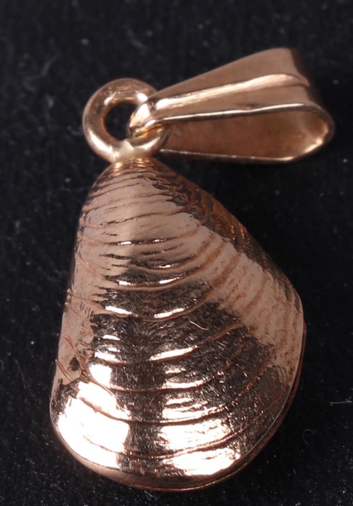 14 carat yellow gold pendant in the shape of a mussel. Hallmarks present - Bild 2 aus 4