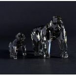 Swarovski SCS, Annual Edition 2009 Gorillas, Year of Release 2009 ,952504 . Includes original box.
H