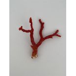 Red coral (rough)
Beautiful large red coral rough branch.
Great for collectors and goldsmiths.
Dimen