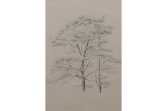 A lot consisting of (7) study drawings with representations of figures and trees. - Bild 7 aus 7