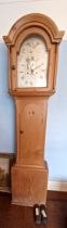 PINE TEMPUS FUGIT PLYMOUTH GRANDFATHER CLOCK 205 CM TALL