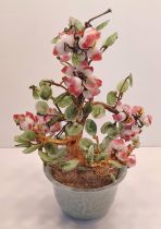 CHINESE JADE / JADELITE TREE - PLANT 25CM TALL