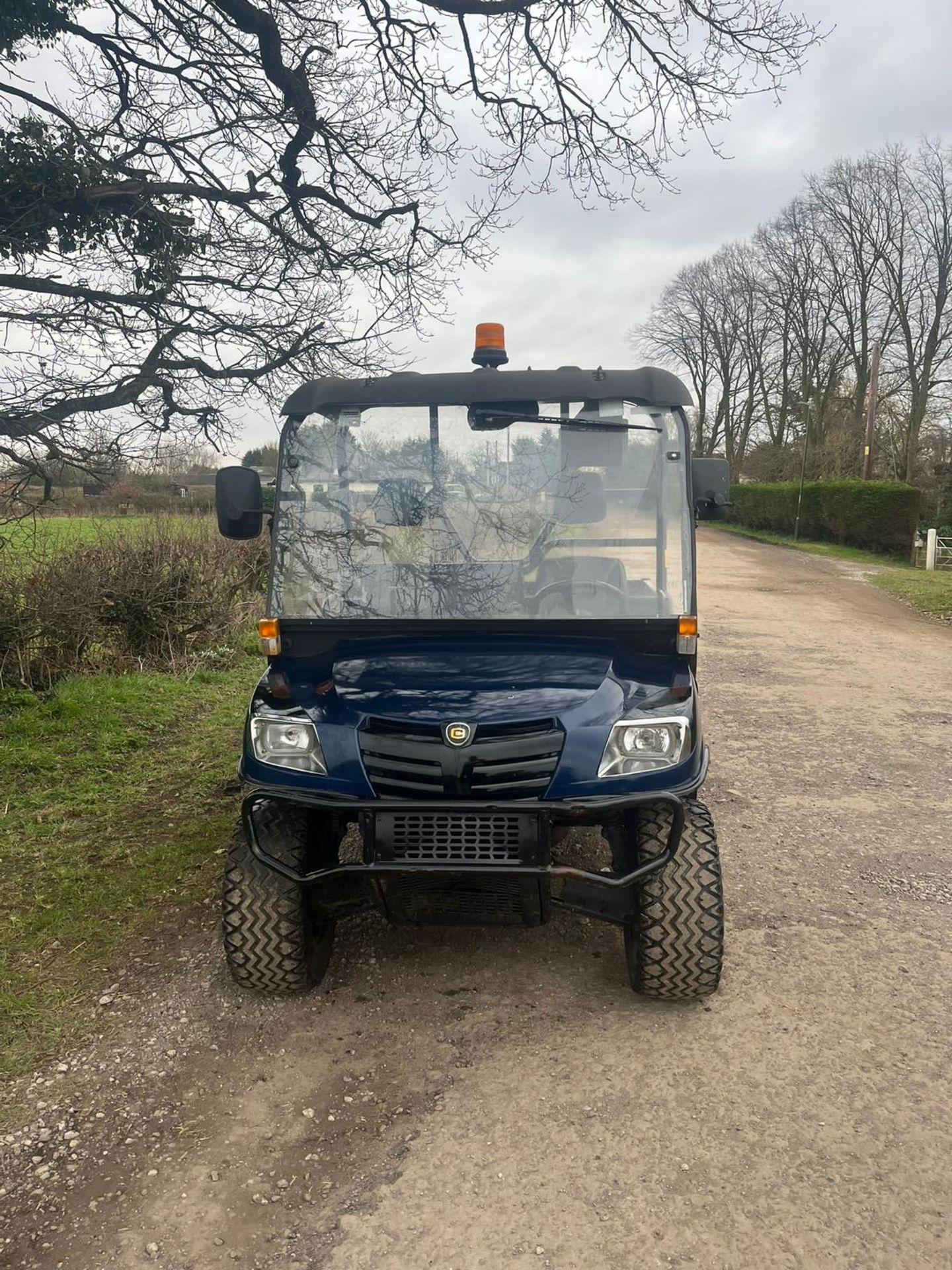 2017/67 PLATE CUSHMAN HAULER 1600 BUGGY *PLUS VAT* - Image 6 of 11