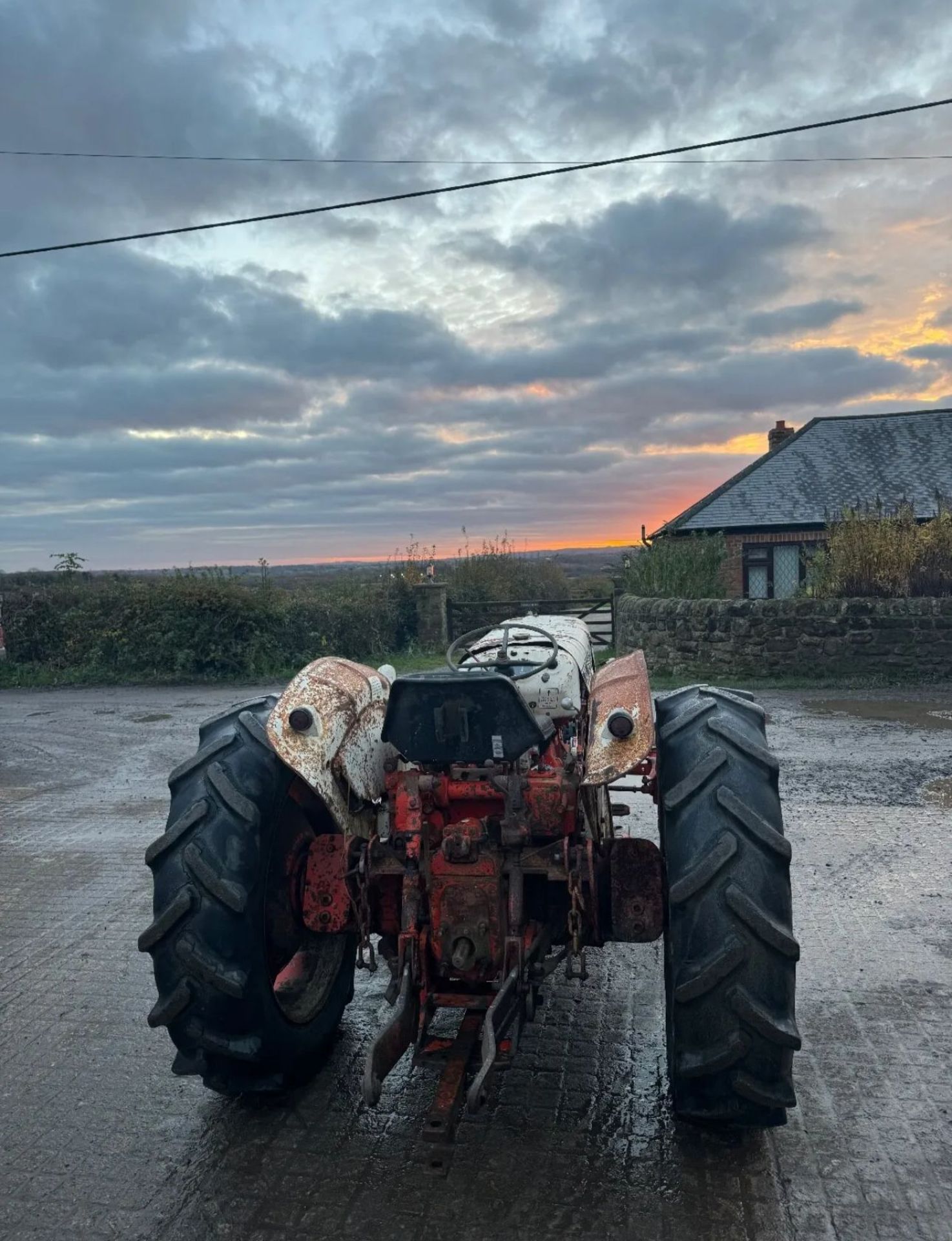 DAVID BROWN 885 DIESEL VINEYARD TRACTOR *PLUS VAT* - Image 7 of 9