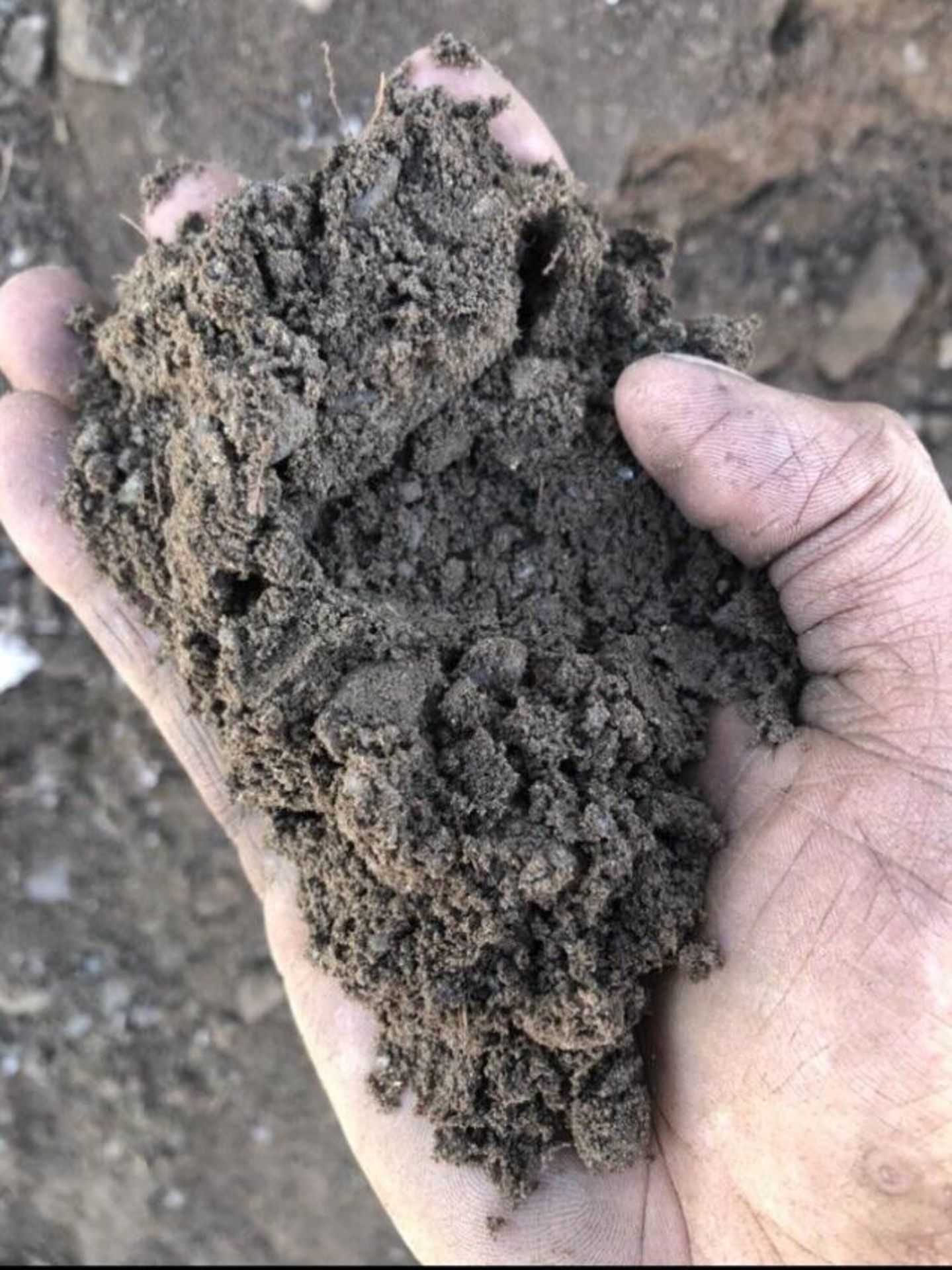 VIPER MINI SIZER Diesel soil /aggregate Screen *PLUS VAT* - Image 4 of 13