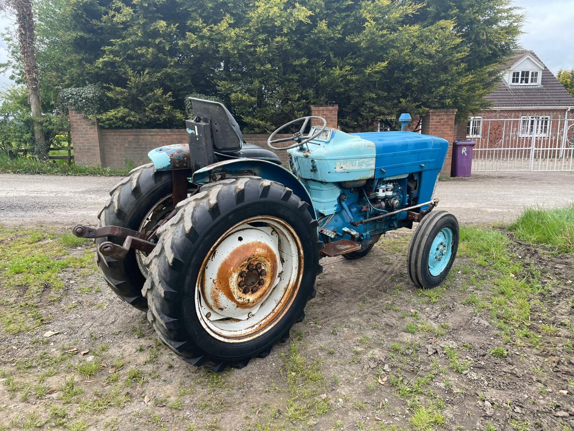 VINTAGE FORD 3000 VINYARD TRACTOR, RUNS DRIVES AND WORKS, ALL GEARS WORK *PLUS VAT* - Bild 4 aus 10