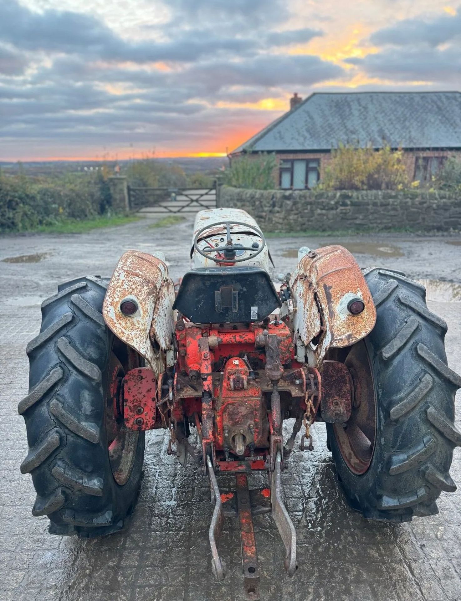 DAVID BROWN 885 DIESEL VINEYARD TRACTOR *PLUS VAT* - Image 5 of 9