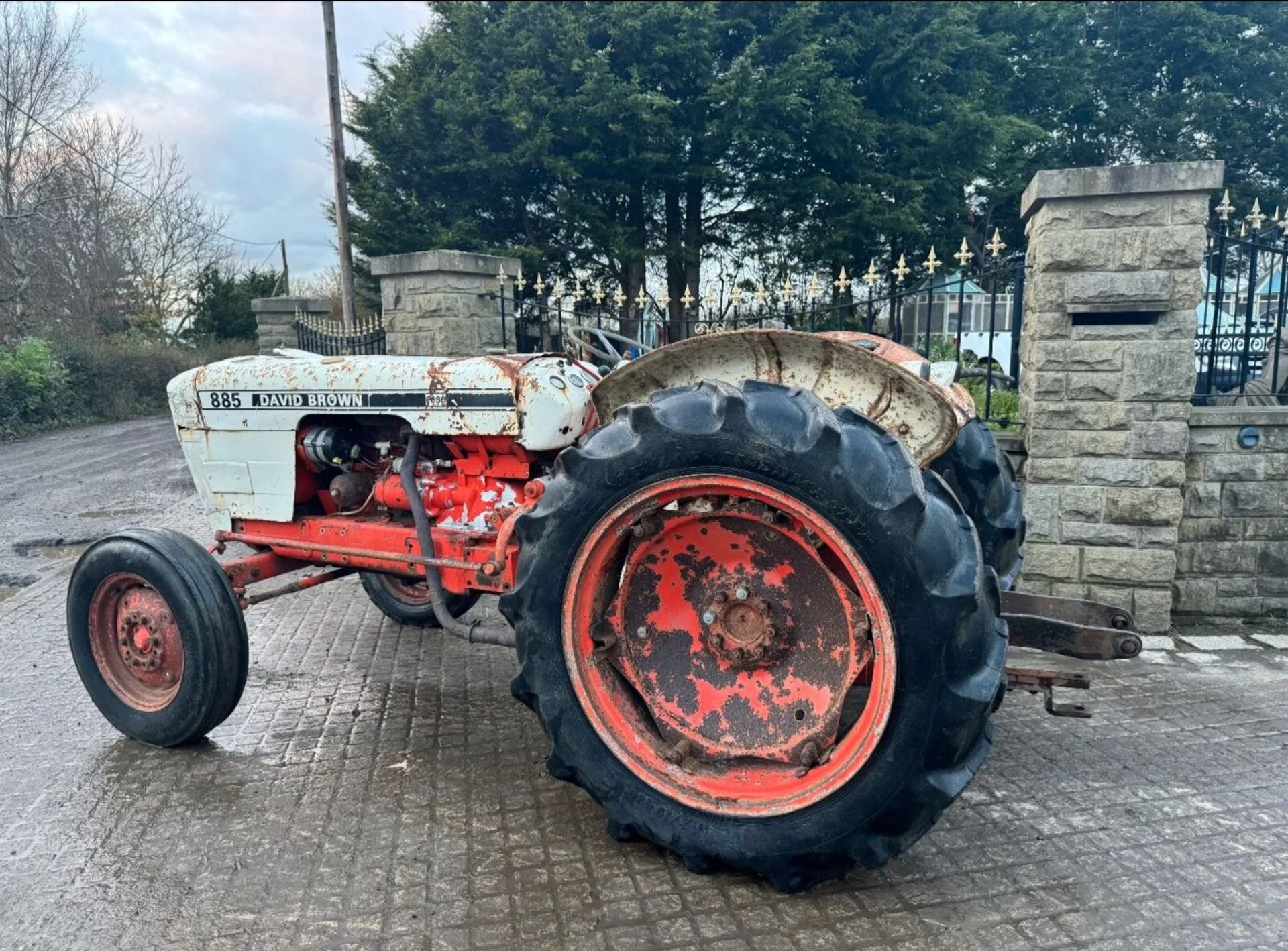 DAVID BROWN 885 DIESEL VINEYARD TRACTOR *PLUS VAT* - Image 4 of 9