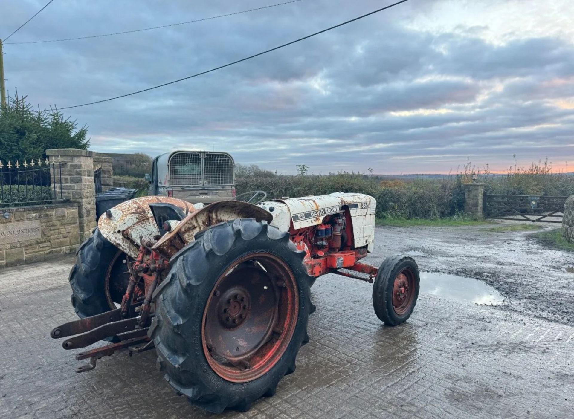 DAVID BROWN 885 DIESEL VINEYARD TRACTOR *PLUS VAT* - Image 9 of 9