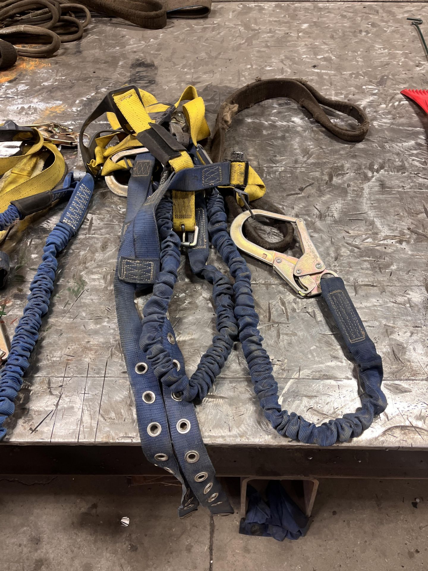 Harnesses - Image 2 of 5