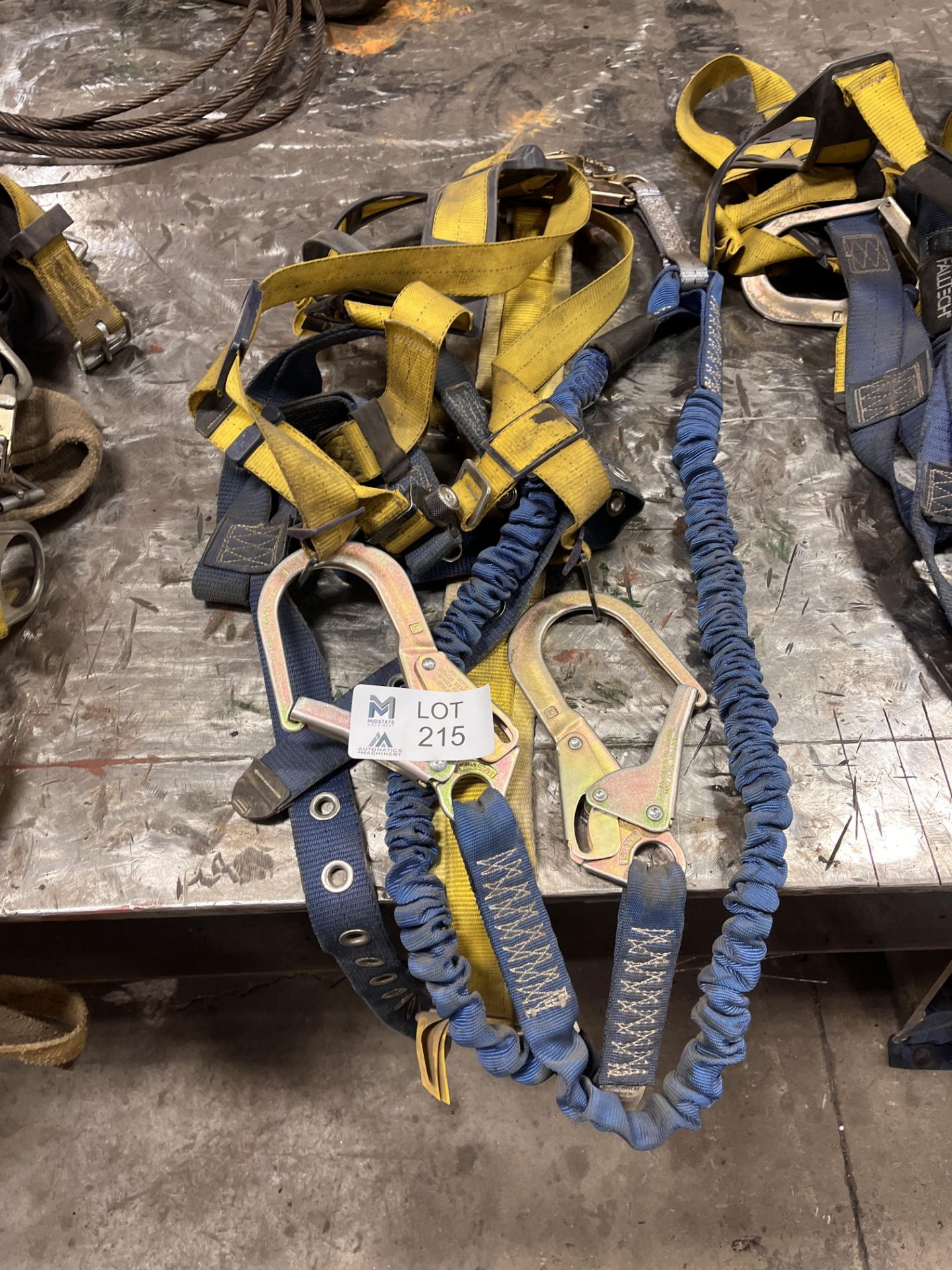 Harnesses - Image 3 of 5