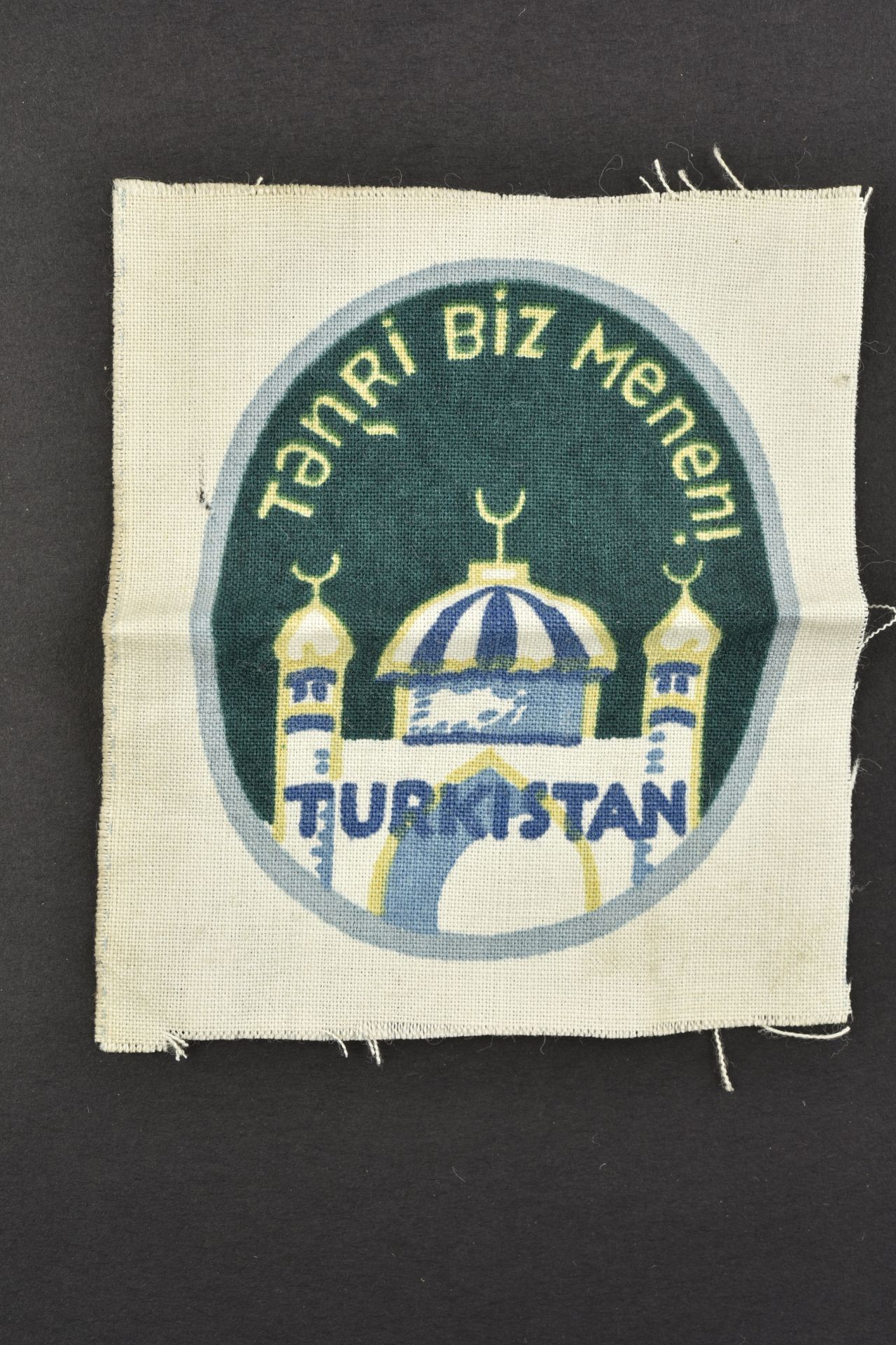 Insigne Turkistan. Turkistan insignia.