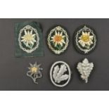 Insignes Gebirgsjager. Mountain troops badges.