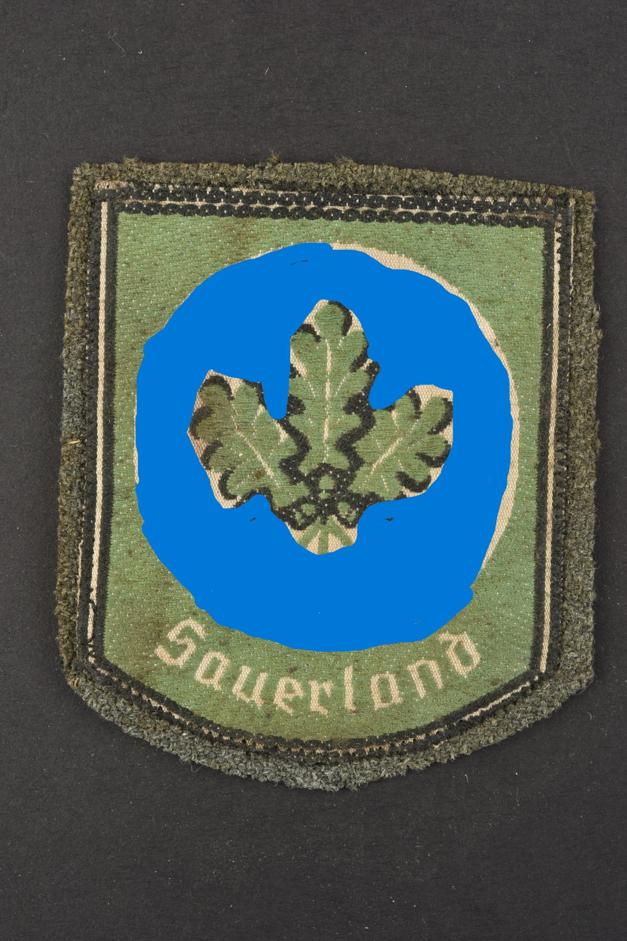 Insigne Sauerland. Sauerland insignia.