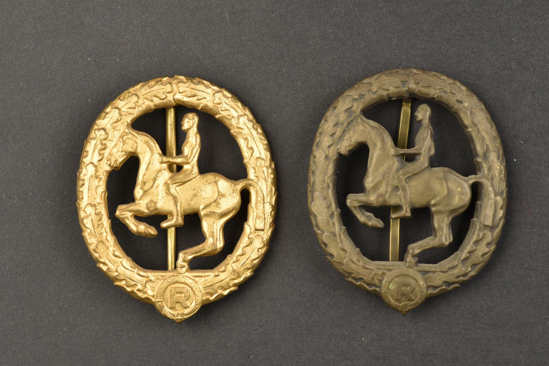 Insignes des sport Žquestre allemand. Equestrian sports badge.