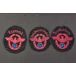 Insignes de manche de pompier. Fireman's sleeve badges. 