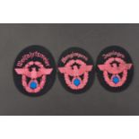 Insignes de manche de pompier. Fireman's sleeve badges. 