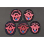 Insignes de manche de pompier. Fireman's sleeve badges. 