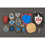 Insignes allemand. German insignia.