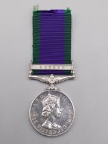 Campaign Service Medal with 'Borneo' Clasp engraved to 062683 ME L. Carns, Royal Navy