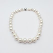 A single row of graduated cultured freshwater Pearls on magnetic clasp stamped 925, approx 44cms