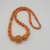 A Butterscotch Amber graduated bead Necklace, approx 90gms, smallest bead approx 8.20mm, largest