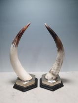 Anthony Redmile, a pair of mounted Cow Horns on silver plated hexagonal bases, signed to base,