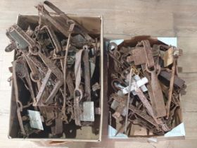 Thirty assorted antique Gin Traps