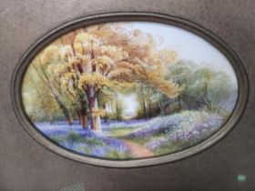 A Royal Worcester Plaque having blue bells in a woodland scene, signed Rushton, framed with oval